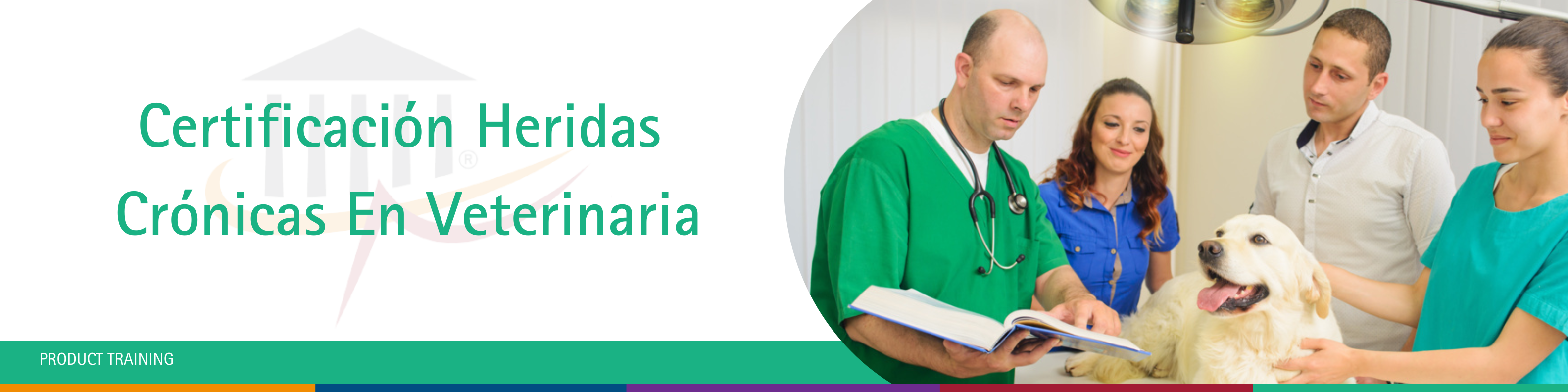 Todos los cursos | AESCULAP